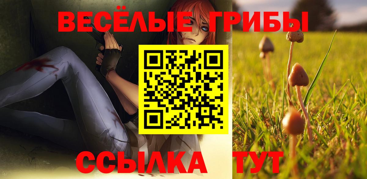 Псилоцибиновые грибы MAGIC MUSHROOMS  Галлюциногенные грибы мухоморы  Вход с VPN  Сосновый Бор 