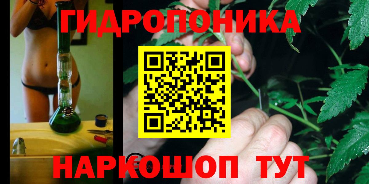 Бошки марихуана сатива Сосновый Бор